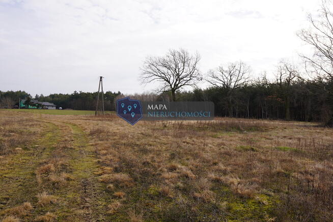 Działki w pięknym otoczeniu przyrody