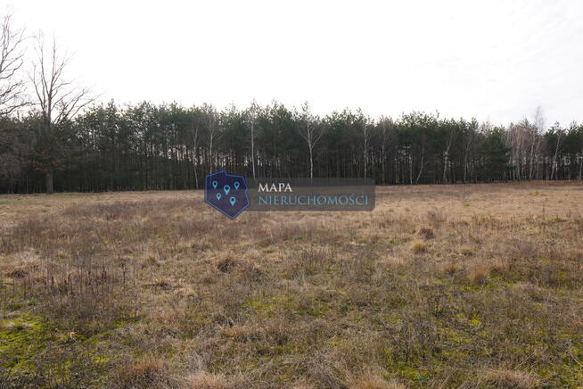 Działki w pięknym otoczeniu przyrody