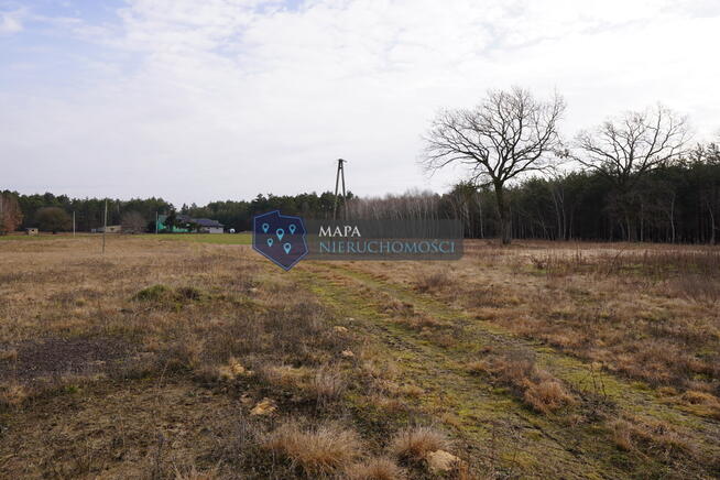 Działki w pięknym otoczeniu przyrody