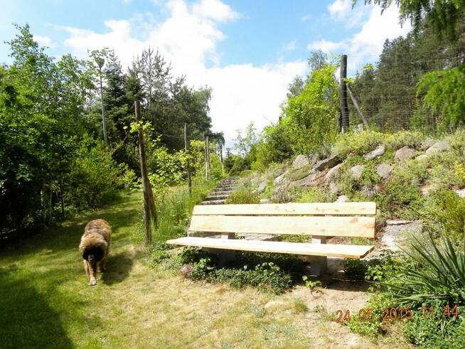 Wypoczynek i noclegi bezpośrednio nad jeziorem powidzkim
