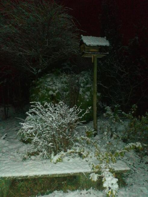 działka rod przyjaźń Szczecin