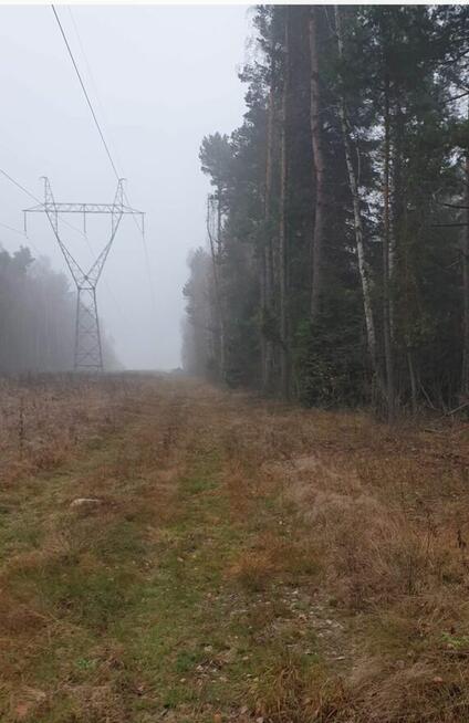 Grunt leśny na sprzedaż Zamość gmina Troszy