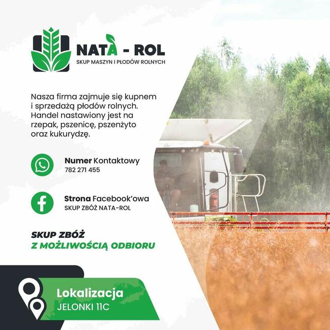 SKUP ZBÓŻ- pszenicy, rzepaku, kukurydzy MAZOWIECKIE