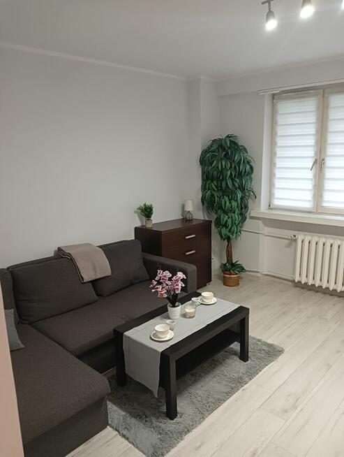 Kawalerka parter, wysoki standard