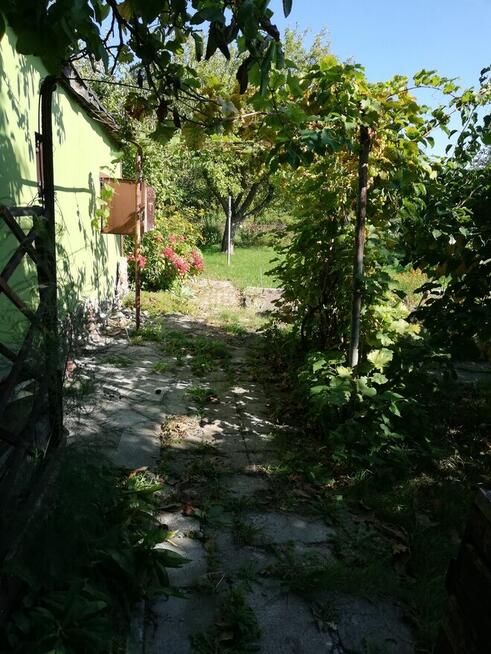 Działka ROD w Elblągu