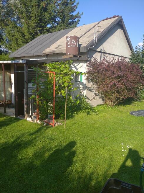 Sprzedam prawa wieczyste dzierżawy ROD