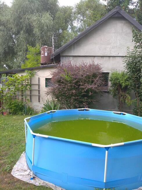 Sprzedam prawa wieczyste dzierżawy ROD