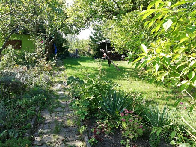 Działka ROD w Elblągu