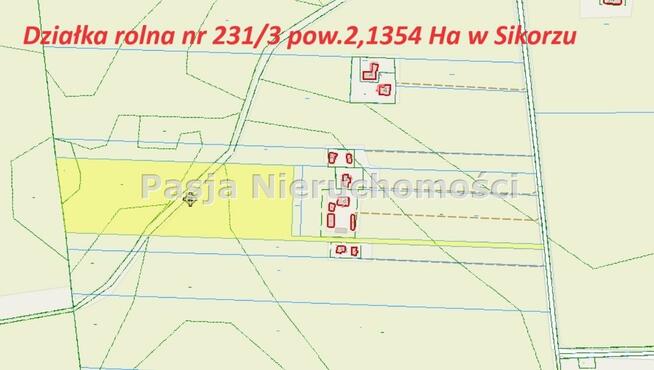 Działka rolna Sikórz gm. Brudzeń Duży