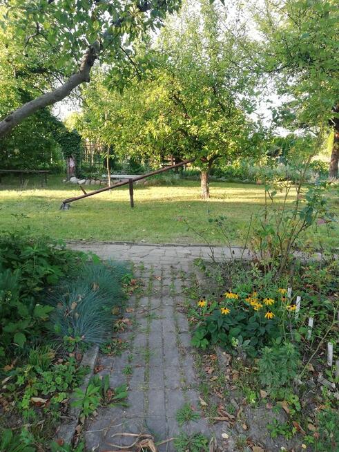 Działka ROD w Elblągu