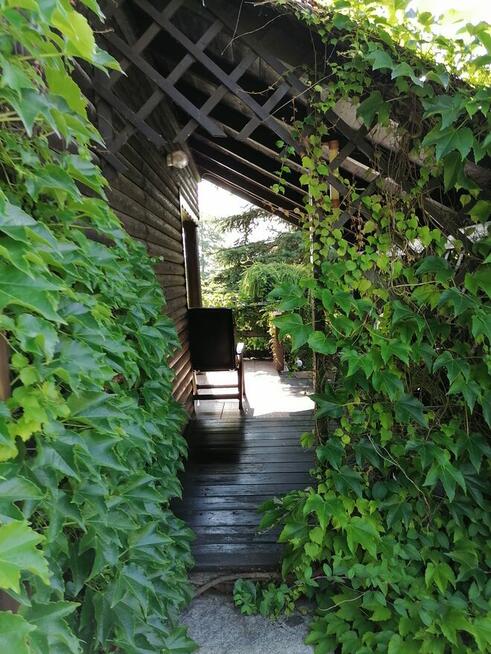 Sprzedam domek letniskowy