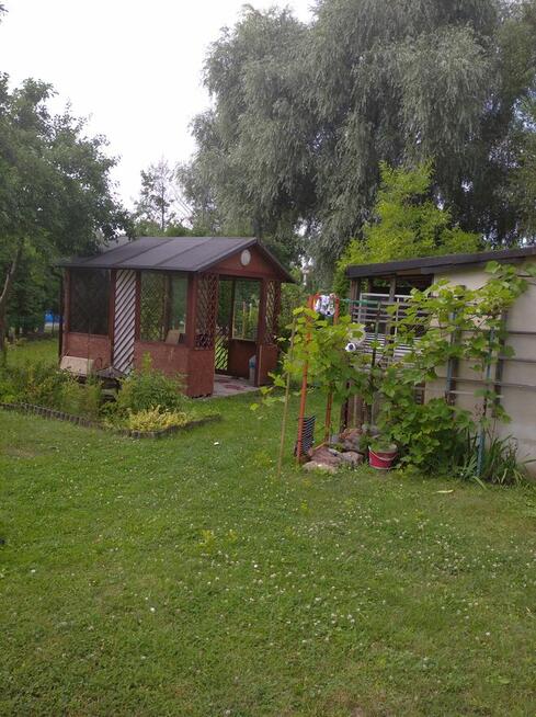 Sprzedam prawa wieczyste dzierżawy ROD