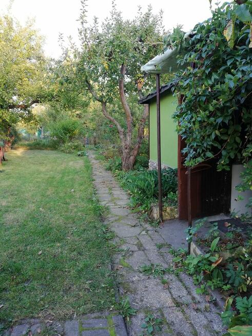 Działka ROD w Elblągu