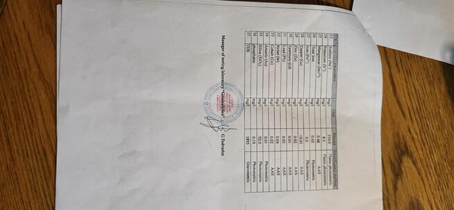 Woda mineralna PHLATE z Gruzji