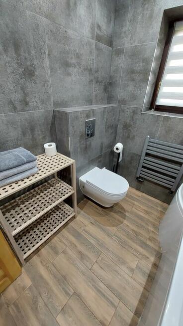 Wynajem apartamentów