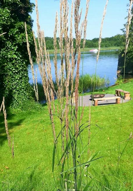 Lokal użytkowy Augustów