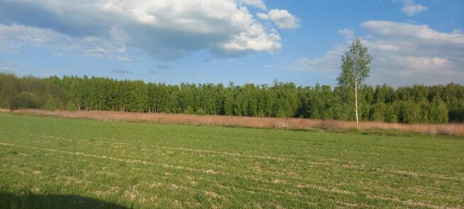 Działka inwestycyjna około 3 300 m2 10 km. od Mińska Maz.