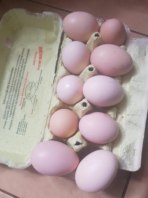 Wiejskie jajeczka