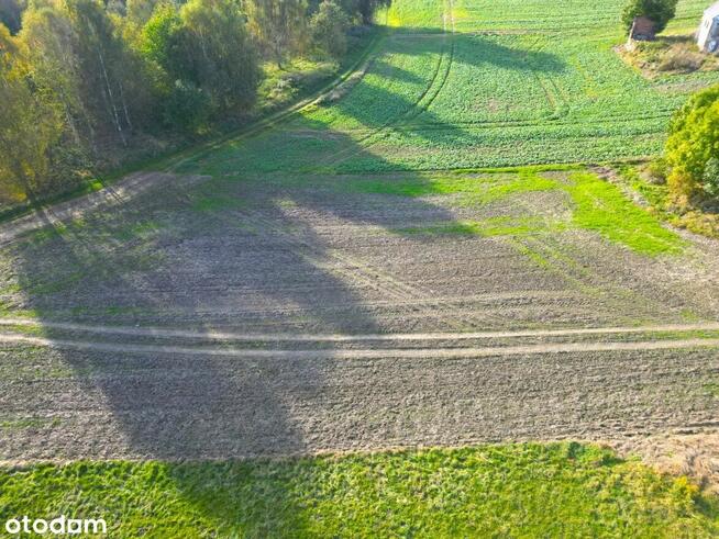 Działka budowlana 1500 m² – Suszki, 8 km od Bolesławca