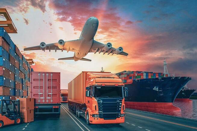 logistyka online magazyny transport egzamin