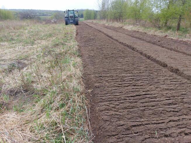 Wycinka drzew Mulczowanienie wgłębne i powierzchniowe