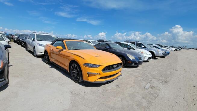 Auta z USA kontakt bezposredni szybkie terminy wysylek