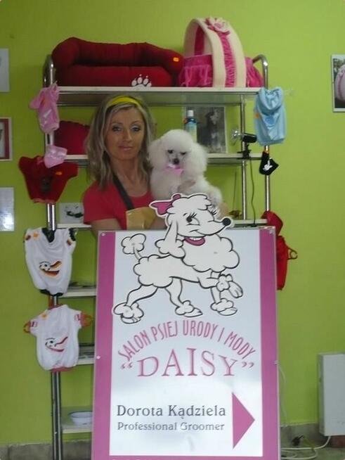 salon pielęgnacji psów DAISY .fryzjer dla psów, groomer