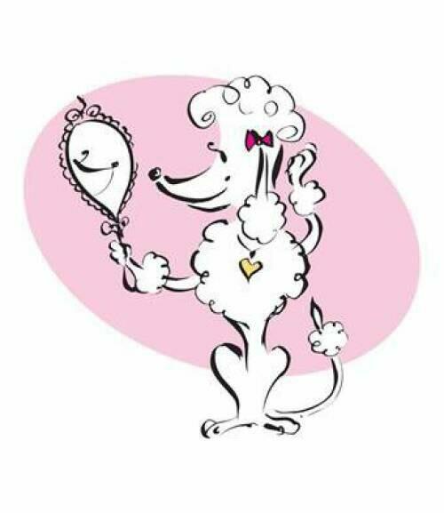 salon pielęgnacji psów DAISY .fryzjer dla psów, groomer