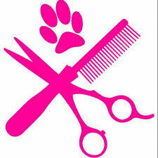 salon pielęgnacji psów DAISY .fryzjer dla psów, groomer