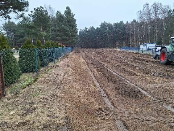 Wycinka drzew Mulczowanienie wgłębne i powierzchniowe