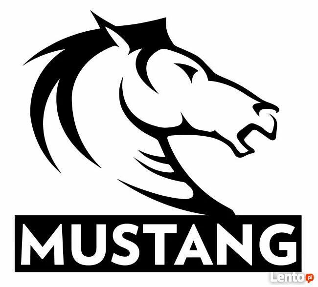 Przewozy pracownicze przewóz osób wycieczki wesela