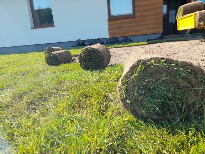 LOVES-GARDENS specjaliści od trawników oraz nawadniania.