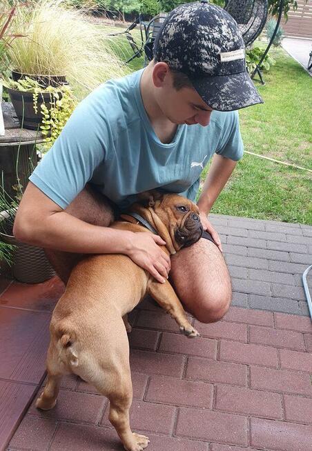 Hotel dla małych psów