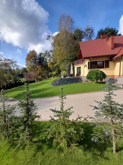 Usługi Ogrodnicze LOVES-GARDENS. Specjaliści od trawników i