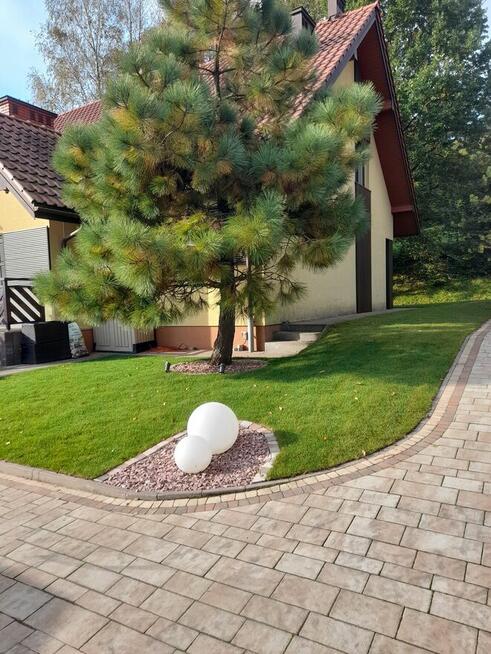 Usługi Ogrodnicze LOVES-GARDENS. Specjaliści od trawników i