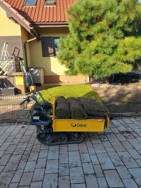 Usługi Ogrodnicze LOVES-GARDENS. Specjaliści od trawników i