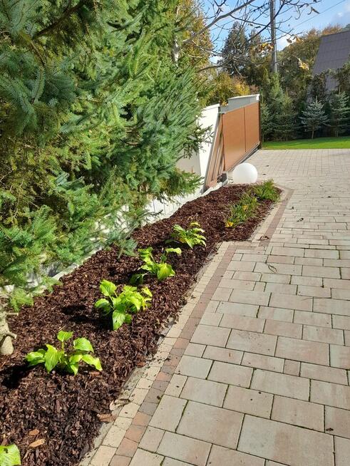 Usługi Ogrodnicze LOVES-GARDENS. Specjaliści od trawników i