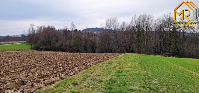 Działka rolna Brzozowa gm. Gromnik