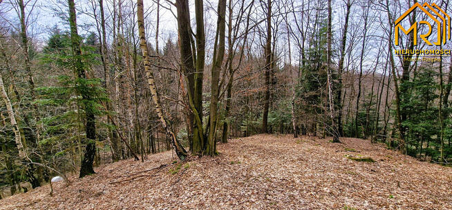 Działka rolna Brzozowa gm. Gromnik