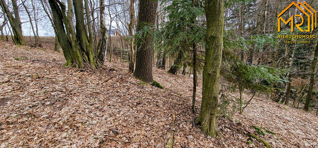 Działka rolna Brzozowa gm. Gromnik