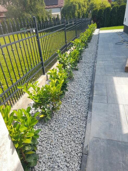 Usługi Ogrodnicze LOVES-GARDENS. Specjaliści od trawników i