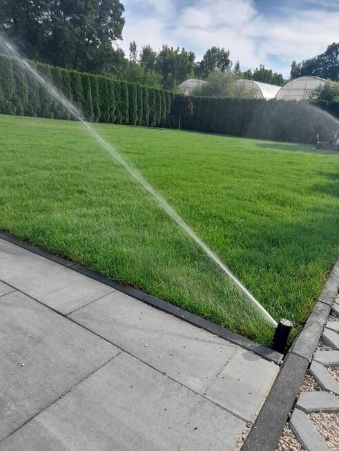 Usługi Ogrodnicze LOVES-GARDENS. Specjaliści od trawników i