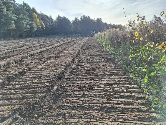 Wycinka drzew Mulczer Powierzchniowy Mulczer Wgłębny