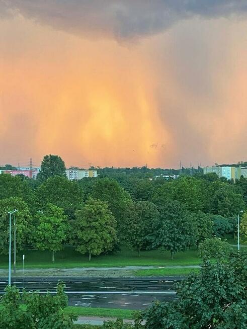 Mieszkanie 3 pok obok parku na Górczynie