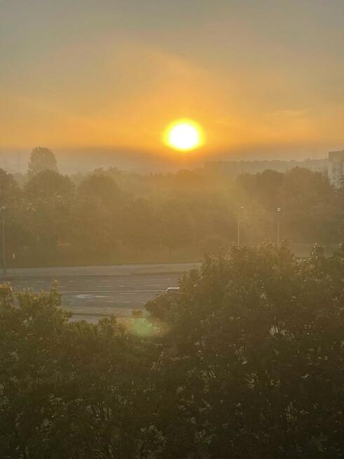 Mieszkanie 3 pok obok parku na Górczynie