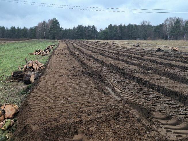 Wycinka drzew Mulczer Powierzchniowy Mulczer Wgłębny