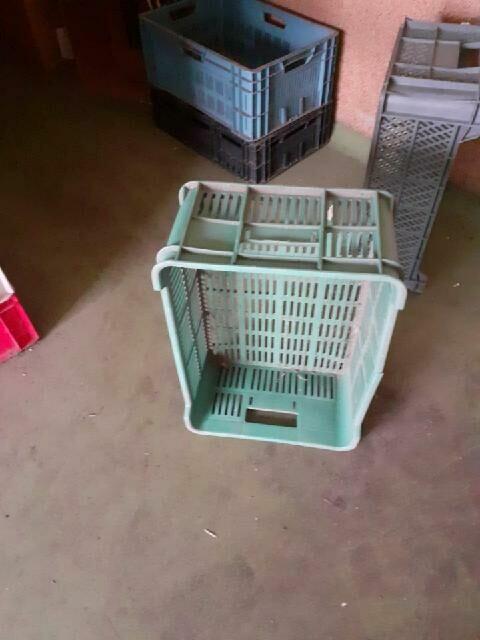 SKRZYNKI PLASTIKOWE - 55 SZTUK, PO 5 ZŁ ZA SZTUKĘ