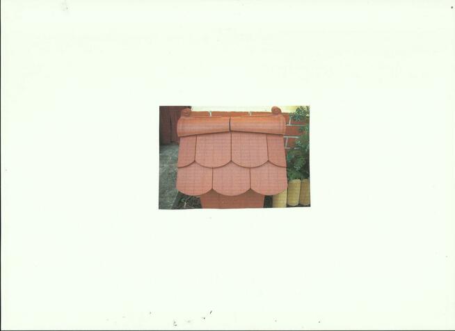 DACHÓWKA KARPIÓWKA I GĄSIORY FCB JOPEK