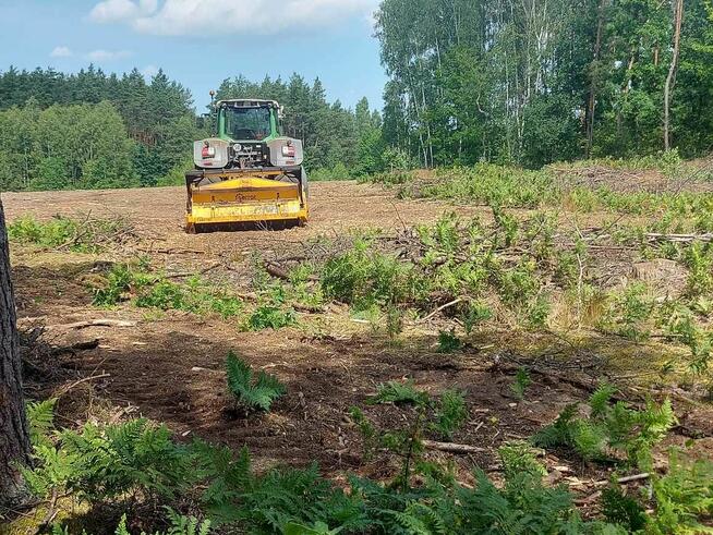 Wycinka drzew Mulczer Powierzchniowy Mulczer Wgłębny
