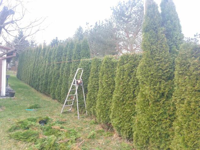 Pielęgnacja ogrodów